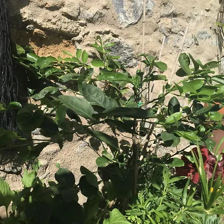 Apartment Cozy En Casa Con Encanto *