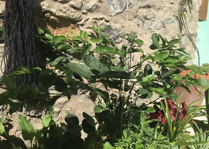 Apartment Cozy En Casa Con Encanto *